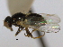  ( - CCDB-21423-D09)  @13 [ ] CreativeCommons - Attribution (2013) CBG Photography Group Centre for Biodiversity Genomics
