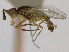  ( - CCDB-21423-G07)  @11 [ ] CreativeCommons - Attribution (2013) CBG Photography Group Centre for Biodiversity Genomics