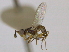  ( - CCDB-21423-G10)  @13 [ ] CreativeCommons - Attribution (2013) CBG Photography Group Centre for Biodiversity Genomics