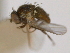  ( - CCDB-21423-H06)  @11 [ ] CreativeCommons - Attribution (2013) CBG Photography Group Centre for Biodiversity Genomics