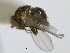  ( - CCDB-21423-H07)  @11 [ ] CreativeCommons - Attribution (2013) CBG Photography Group Centre for Biodiversity Genomics