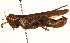  ( - CCDB-21424-A05)  @11 [ ] CreativeCommons - Attribution (2014) CBG Photography Group Centre for Biodiversity Genomics