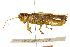  ( - CCDB-21424-A07)  @14 [ ] CreativeCommons - Attribution (2014) CBG Photography Group Centre for Biodiversity Genomics