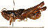  ( - CCDB-21424-B03)  @11 [ ] CreativeCommons - Attribution (2014) CBG Photography Group Centre for Biodiversity Genomics