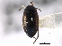  ( - CCDB-21426-B01)  @11 [ ] CreativeCommons - Attribution (2014) CBG Photography Group Centre for Biodiversity Genomics
