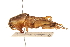  ( - CCDB-21427-A04)  @11 [ ] CreativeCommons - Attribution (2014) CBG Photography Group Centre for Biodiversity Genomics
