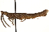  ( - CCDB-21427-B02)  @11 [ ] CreativeCommons - Attribution (2014) CBG Photography Group Centre for Biodiversity Genomics