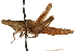  ( - CCDB-21427-C11)  @11 [ ] CreativeCommons - Attribution (2014) CBG Photography Group Centre for Biodiversity Genomics