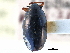  ( - CCDB-21428-A12)  @11 [ ] CreativeCommons - Attribution (2014) CBG Photography Group Centre for Biodiversity Genomics
