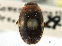  ( - CCDB-21428-G05)  @11 [ ] CreativeCommons - Attribution (2014) CBG Photography Group Centre for Biodiversity Genomics