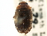  ( - CCDB-21428-G06)  @11 [ ] CreativeCommons - Attribution (2014) CBG Photography Group Centre for Biodiversity Genomics