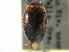  ( - CCDB-21428-G07)  @11 [ ] CreativeCommons - Attribution (2014) CBG Photography Group Centre for Biodiversity Genomics