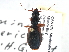  ( - CCDB-21430-A04)  @11 [ ] CreativeCommons - Attribution (2014) CBG Photography Group Centre for Biodiversity Genomics