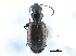  ( - CCDB-21430-C05)  @11 [ ] CreativeCommons - Attribution (2014) CBG Photography Group Centre for Biodiversity Genomics