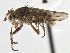  ( - CCDB-21320-A05)  @15 [ ] CreativeCommons - Attribution (2014) CBG Photography Group Centre for Biodiversity Genomics