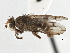  ( - CCDB-21320-A06)  @15 [ ] CreativeCommons - Attribution (2014) CBG Photography Group Centre for Biodiversity Genomics