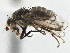  ( - CCDB-21320-A08)  @11 [ ] CreativeCommons - Attribution (2014) CBG Photography Group Centre for Biodiversity Genomics