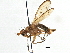  ( - CCDB-21320-D04)  @14 [ ] CreativeCommons - Attribution (2014) CBG Photography Group Centre for Biodiversity Genomics