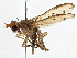  ( - CCDB-21320-D07)  @14 [ ] CreativeCommons - Attribution (2014) CBG Photography Group Centre for Biodiversity Genomics
