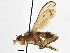  ( - CCDB-21320-D08)  @14 [ ] CreativeCommons - Attribution (2014) CBG Photography Group Centre for Biodiversity Genomics