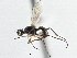  ( - CCDB-21320-D10)  @14 [ ] CreativeCommons - Attribution (2014) CBG Photography Group Centre for Biodiversity Genomics