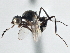  ( - CCDB-21320-D11)  @13 [ ] CreativeCommons - Attribution (2014) CBG Photography Group Centre for Biodiversity Genomics