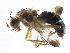  ( - CCDB-21320-E10)  @14 [ ] CreativeCommons - Attribution (2014) CBG Photography Group Centre for Biodiversity Genomics