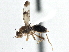  ( - CCDB-21320-E11)  @13 [ ] CreativeCommons - Attribution (2014) CBG Photography Group Centre for Biodiversity Genomics
