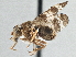  ( - CCDB-21323-A01)  @14 [ ] CreativeCommons - Attribution (2014) CBG Photography Group Centre for Biodiversity Genomics