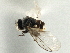  ( - CCDB-21325-A05)  @11 [ ] CreativeCommons - Attribution (2014) CBG Photography Group Centre for Biodiversity Genomics