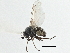  ( - CCDB-21325-A09)  @11 [ ] CreativeCommons - Attribution (2014) CBG Photography Group Centre for Biodiversity Genomics