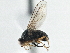  ( - CCDB-21325-E08)  @13 [ ] CreativeCommons - Attribution (2014) CBG Photography Group Centre for Biodiversity Genomics