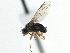  ( - CCDB-21325-E09)  @13 [ ] CreativeCommons - Attribution (2014) CBG Photography Group Centre for Biodiversity Genomics