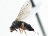  ( - CCDB-21325-E11)  @14 [ ] CreativeCommons - Attribution (2014) CBG Photography Group Centre for Biodiversity Genomics