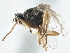  ( - CCDB-21325-E12)  @12 [ ] CreativeCommons - Attribution (2014) CBG Photography Group Centre for Biodiversity Genomics