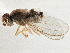  ( - CCDB-21327-A01)  @11 [ ] CreativeCommons - Attribution (2014) CBG Photography Group Centre for Biodiversity Genomics