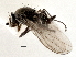  ( - CCDB-21327-A08)  @13 [ ] CreativeCommons - Attribution (2014) CBG Photography Group Centre for Biodiversity Genomics