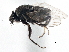  ( - CCDB-21327-B09)  @12 [ ] CreativeCommons - Attribution (2014) CBG Photography Group Centre for Biodiversity Genomics