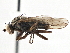  ( - CCDB-21327-H08)  @11 [ ] CreativeCommons - Attribution (2014) CBG Photography Group Centre for Biodiversity Genomics