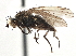  ( - CCDB-21327-H09)  @11 [ ] CreativeCommons - Attribution (2014) CBG Photography Group Centre for Biodiversity Genomics