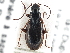  ( - CCDB-21331-B11)  @11 [ ] CreativeCommons - Attribution (2014) CBG Photography Group Centre for Biodiversity Genomics