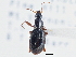  ( - CCDB-21331-E09)  @13 [ ] CreativeCommons - Attribution (2014) CBG Photography Group Centre for Biodiversity Genomics
