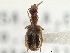  ( - CCDB-21331-F02)  @11 [ ] CreativeCommons - Attribution (2014) CBG Photography Group Centre for Biodiversity Genomics
