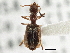  ( - CCDB-21331-F03)  @11 [ ] CreativeCommons - Attribution (2014) CBG Photography Group Centre for Biodiversity Genomics