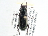  ( - CCDB-21331-F06)  @14 [ ] CreativeCommons - Attribution (2014) CBG Photography Group Centre for Biodiversity Genomics
