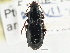  ( - CCDB-21331-F10)  @11 [ ] CreativeCommons - Attribution (2014) CBG Photography Group Centre for Biodiversity Genomics