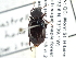  ( - CCDB-21331-G12)  @13 [ ] CreativeCommons - Attribution (2014) CBG Photography Group Centre for Biodiversity Genomics