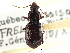  ( - CCDB-21331-H01)  @11 [ ] CreativeCommons - Attribution (2014) CBG Photography Group Centre for Biodiversity Genomics