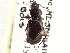  ( - CCDB-21331-H04)  @11 [ ] CreativeCommons - Attribution (2014) CBG Photography Group Centre for Biodiversity Genomics
