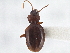 ( - CCDB-21333-B06)  @11 [ ] CreativeCommons - Attribution (2014) CBG Photography Group Centre for Biodiversity Genomics